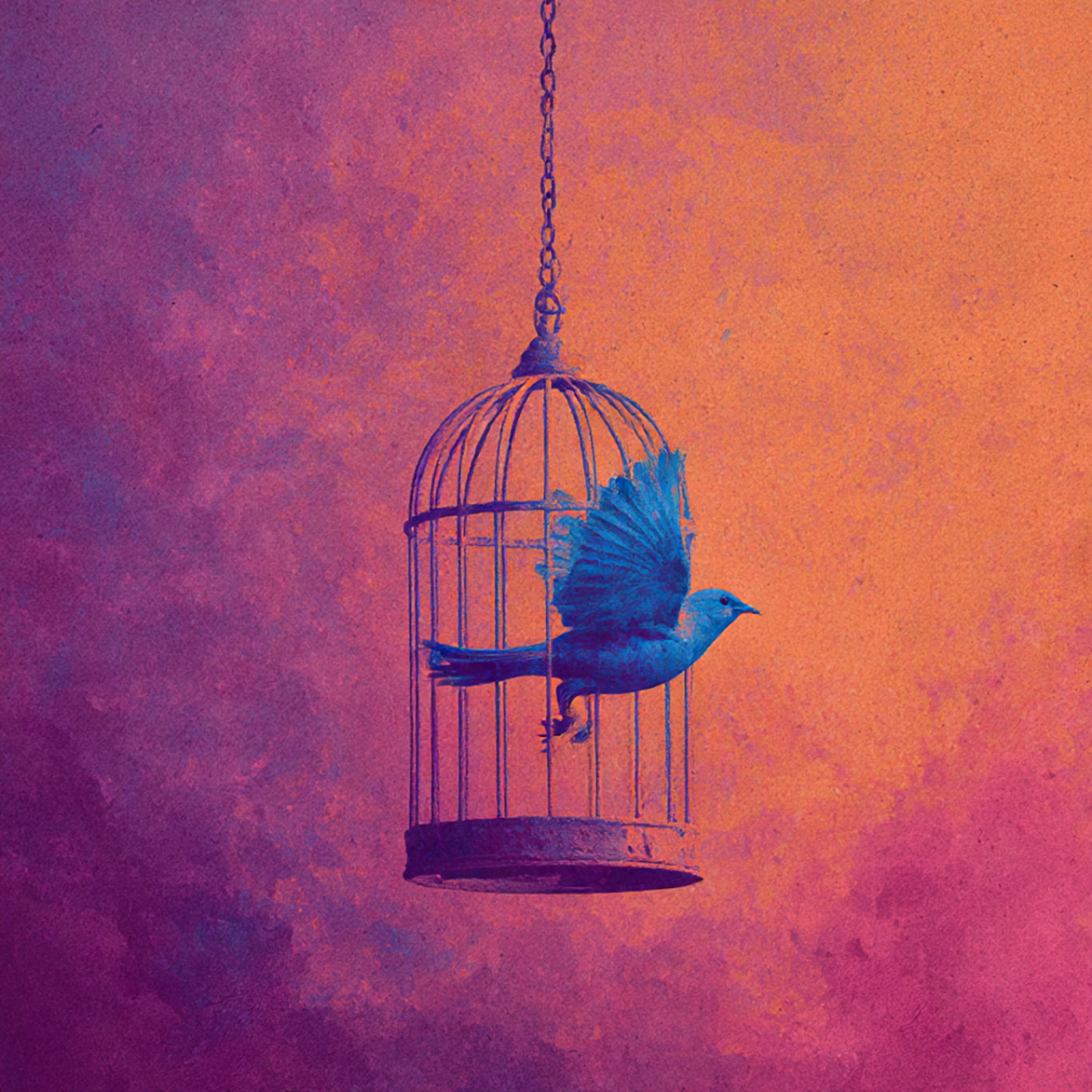 a_bird_coming_out_of_the_cage a_bird_coming_out_of_the_cage